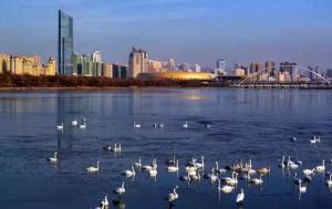 三門(mén)峽又一網(wǎng)紅景點(diǎn)，確定不來(lái)pick一下？